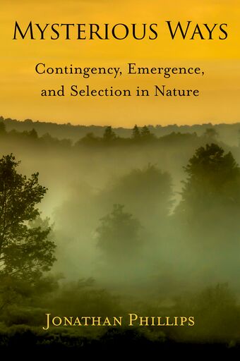 Mysterious Ways book cover