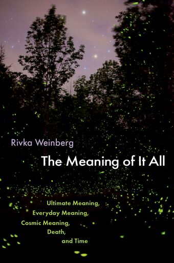 The Meaning Of It All book cover