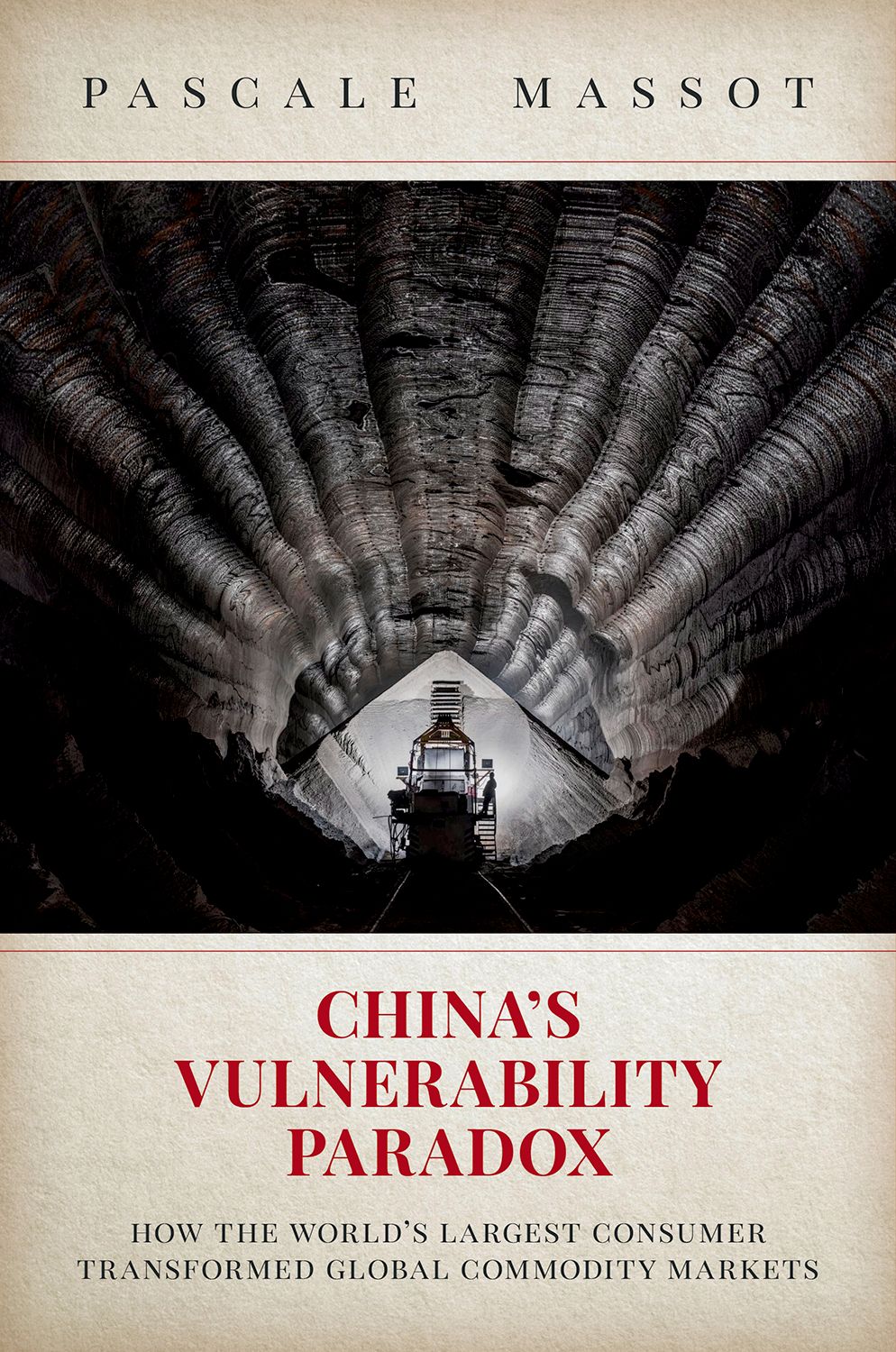 China's Vulnerability Paradox book cover