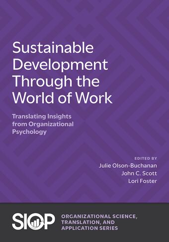 Sustainable Development Through the World of Work book cover