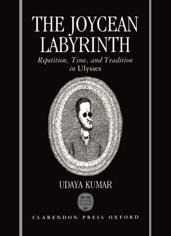 The Joycean Labyrinth book cover