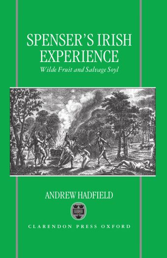 Edmund Spenser's Irish Experience book cover