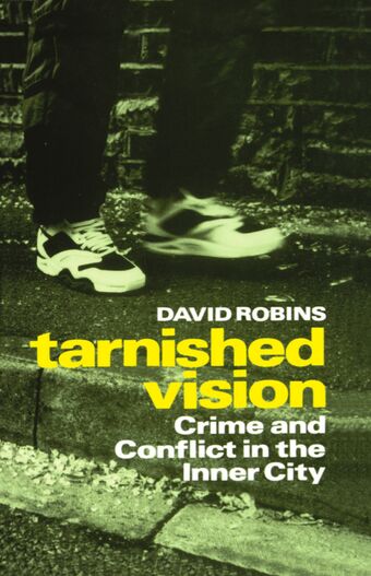 Tarnished Vision book cover