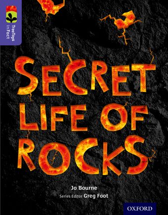TreeTops InFact Level 11 Secret Life of Rocks book cover