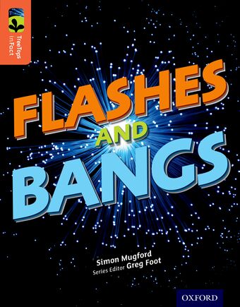 TreeTops InFact Level 13 Flashes & Bangs! book cover