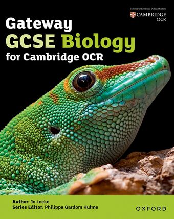 GCSE, Key Stage 4 OCR Gateway GCSE Biology Student Book book cover