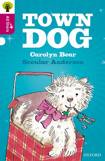 Oxford Reading Tree All Stars: Oxford Level 10 Town Dog book cover