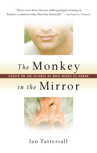 The Monkey in the Mirror book cover