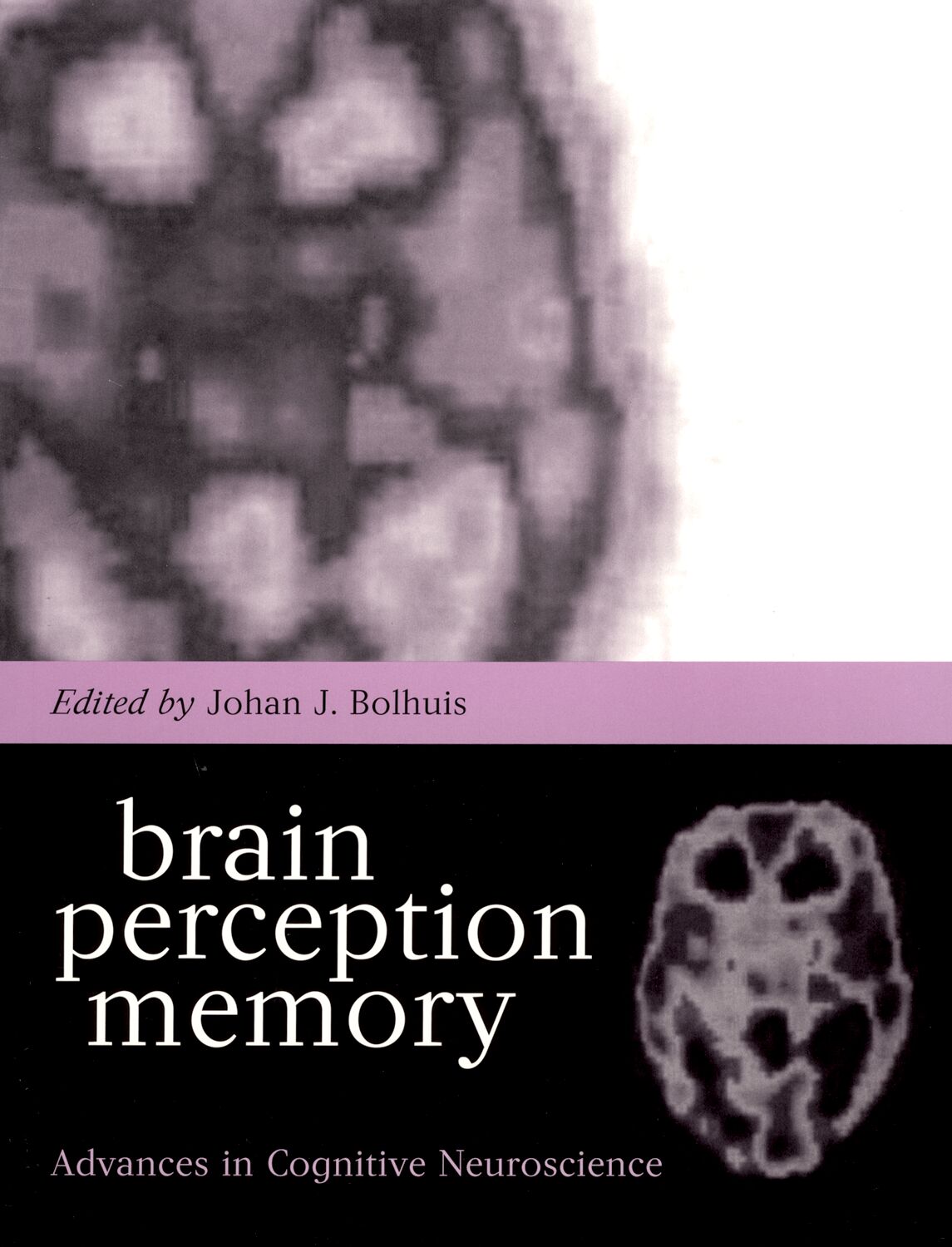 Brain, Perception, Memory book cover