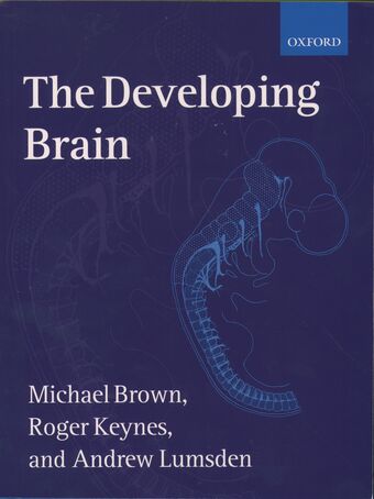 The Developing Brain book cover