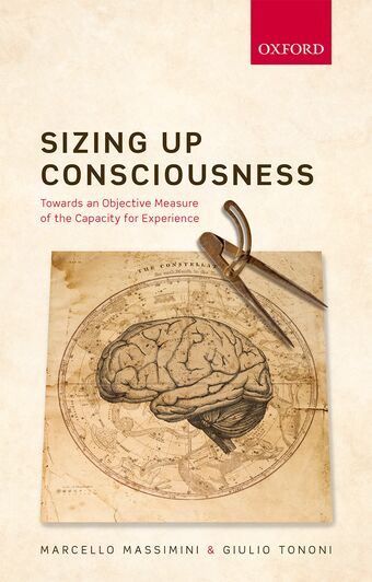 Sizing up Consciousness book cover