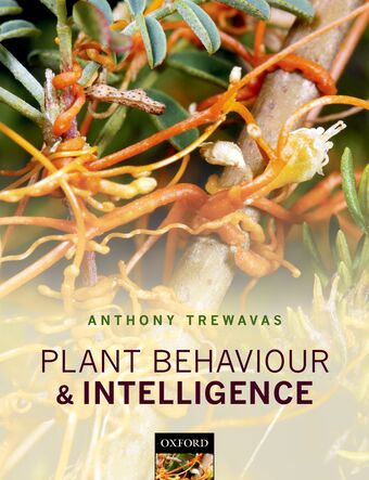 Plant Behaviour and Intelligence book cover