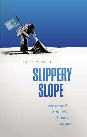 Slippery Slope book cover