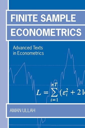 Finite Sample Econometrics book cover
