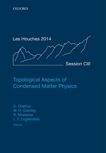 Topological Aspects of Condensed Matter Physics book cover