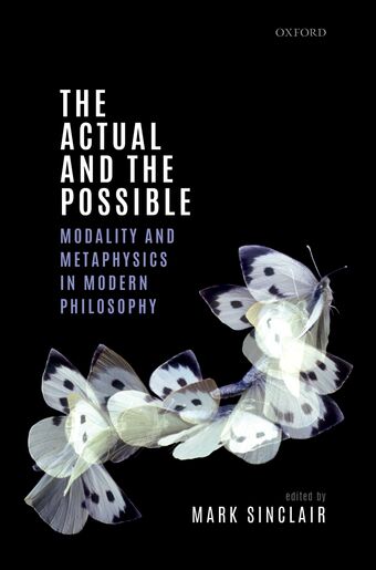 The Actual and the Possible book cover