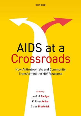 Aids At A Crossroads Paperback book cover