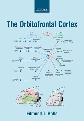 The Orbitofrontal Cortex book cover