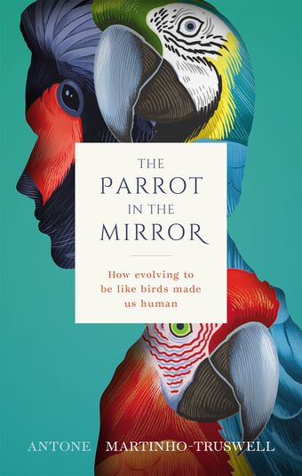 The Parrot in the Mirror How evolving to be like birds made us human book cover