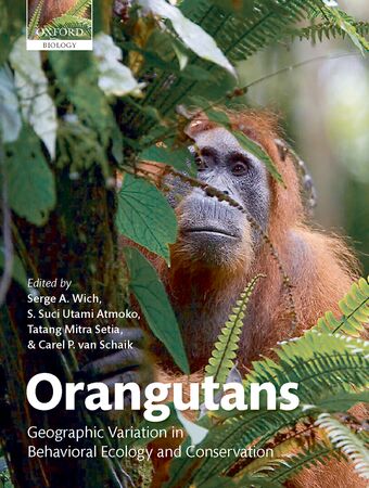 Orangutans book cover