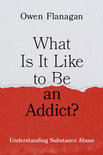 What Is It Like to Be an Addict Understanding Substance Abuse book cover