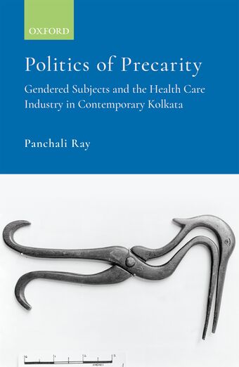 Politics of Precarity book cover