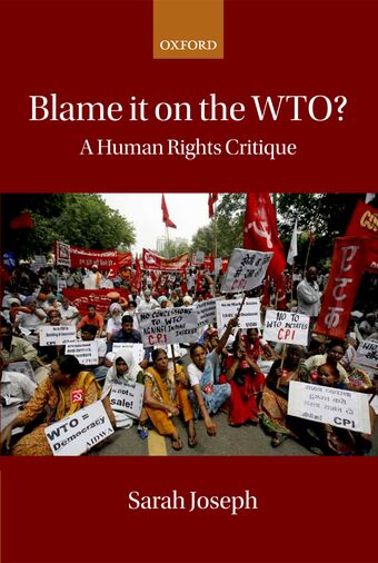 Blame it on the WTO? book cover