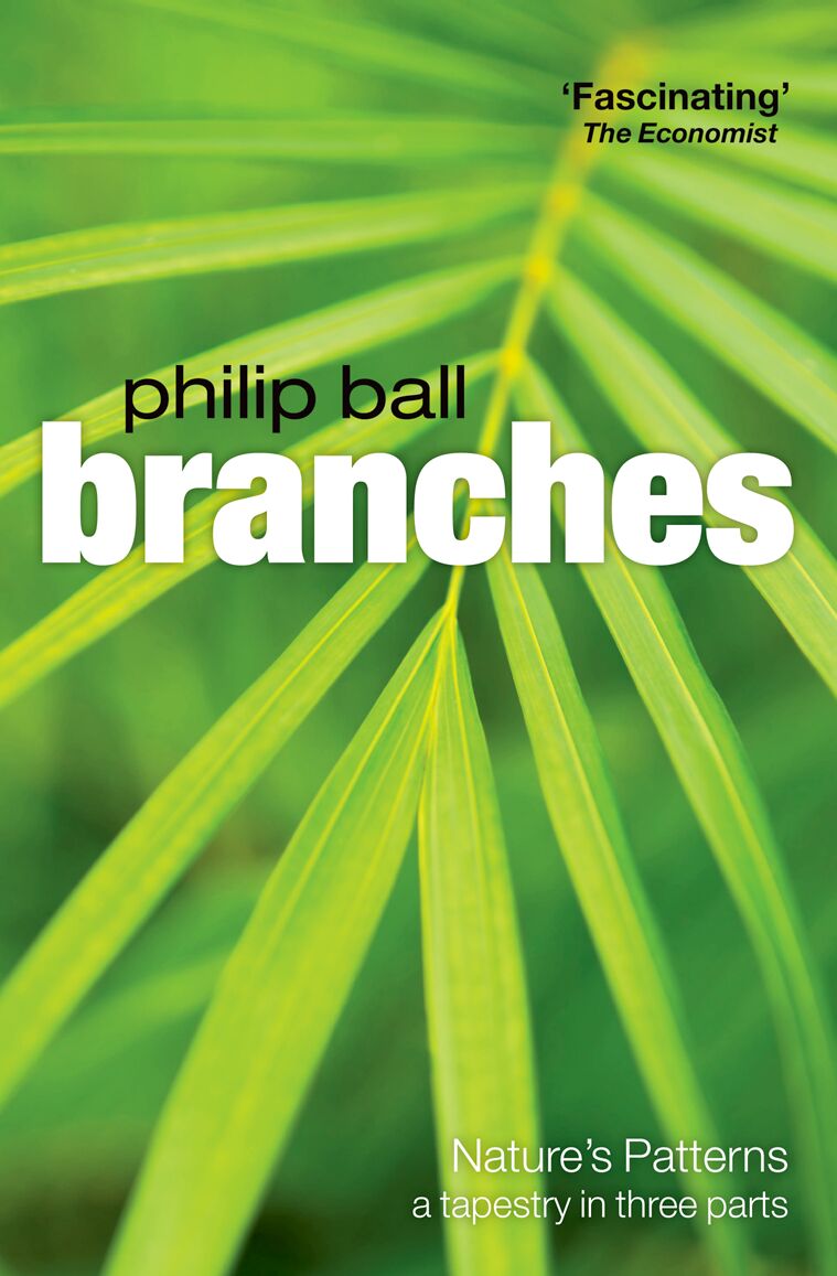 Branches book cover