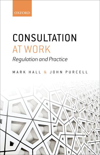 Consultation at Work book cover