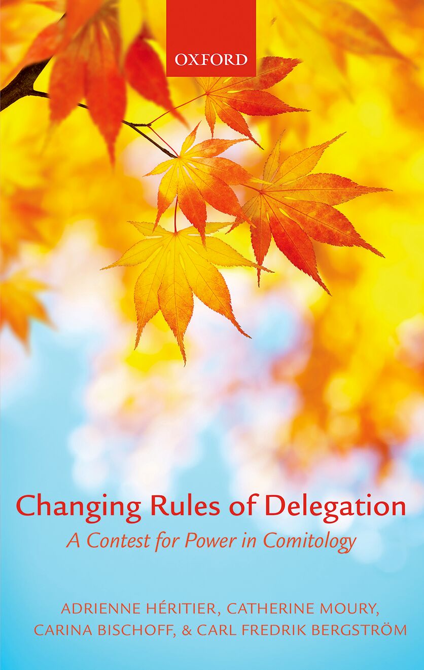 Changing Rules of Delegation book cover