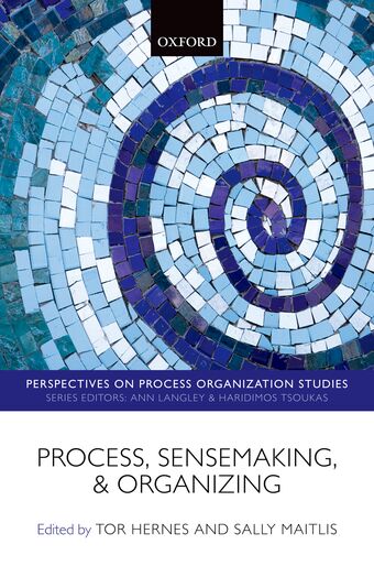 Process, Sensemaking, and Organizing book cover