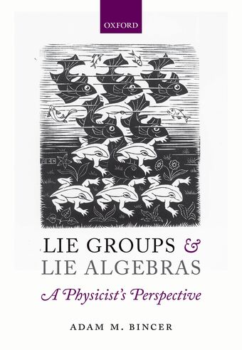 Lie Groups and Lie Algebras - A Physicist's Perspective book cover