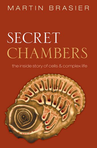 Secret Chambers book cover