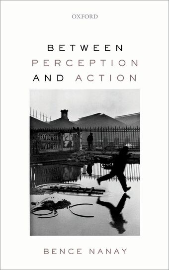 Between Perception and Action book cover