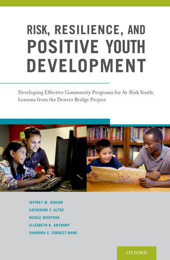 Risk, Resilience, and Positive Youth Development book cover