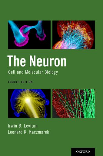 The Neuron Cell and Molecular Biology book cover