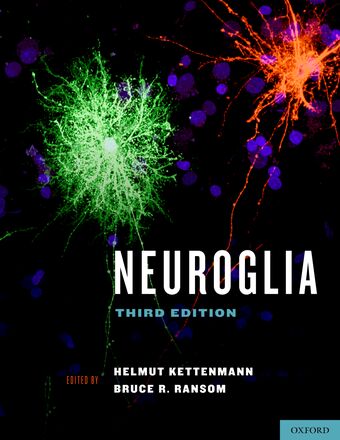 Neuroglia book cover