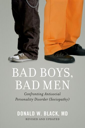 Bad Boys, Bad Men book cover