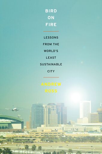 Bird on Fire book cover
