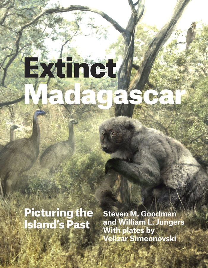 Extinct Madagascar: Picturing the Island's Past cover