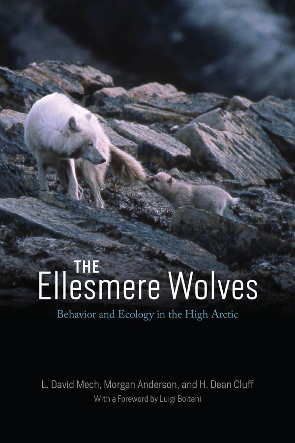 The Ellesmere Wolves: Behavior and Ecology in the High Arctic cover