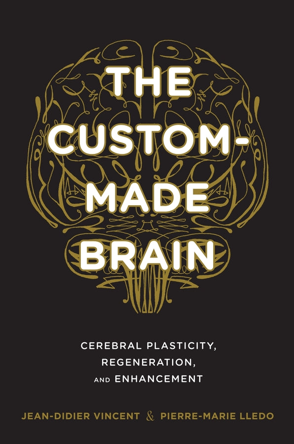 The Custom-Made Brain: Cerebral Plasticity, Regeneration, and Enhancement cover
