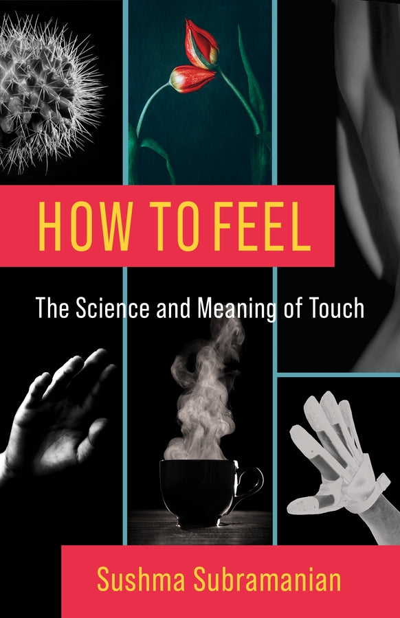 How to Feel: The Science and Meaning of Touch cover
