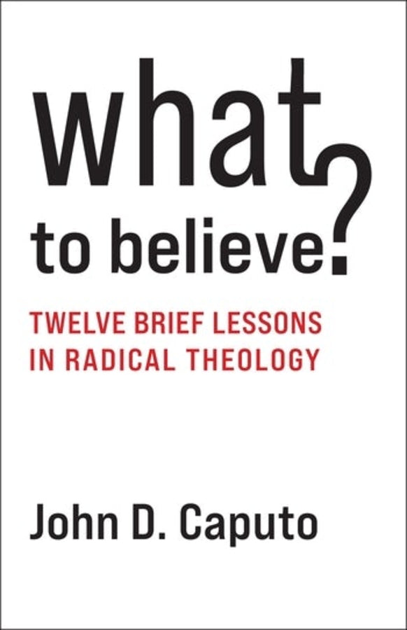 What to Believe?: Twelve Brief Lessons in Radical Theology cover