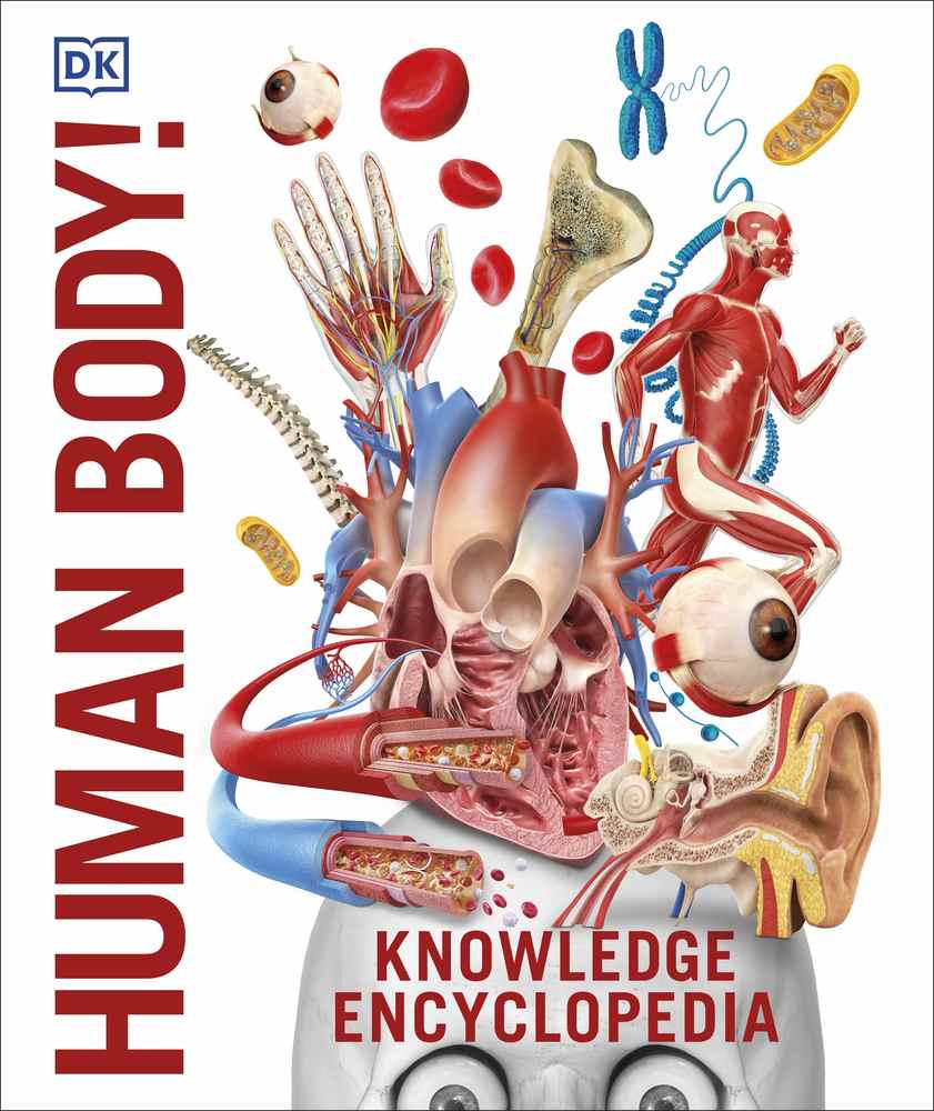 Knowledge Encyclopedia Human Body! book cover