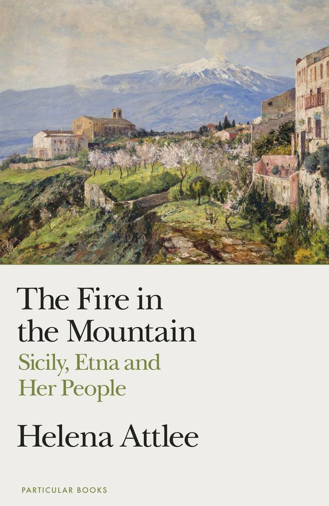 The Fire in the Mountain book cover