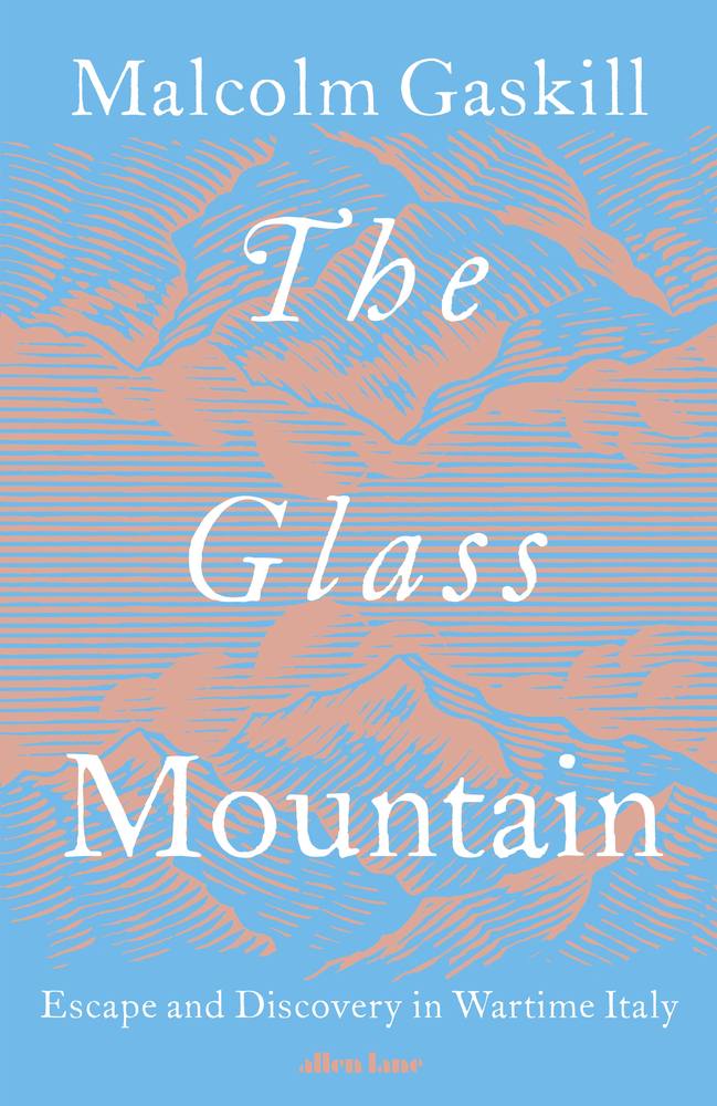 The Glass Mountain book cover