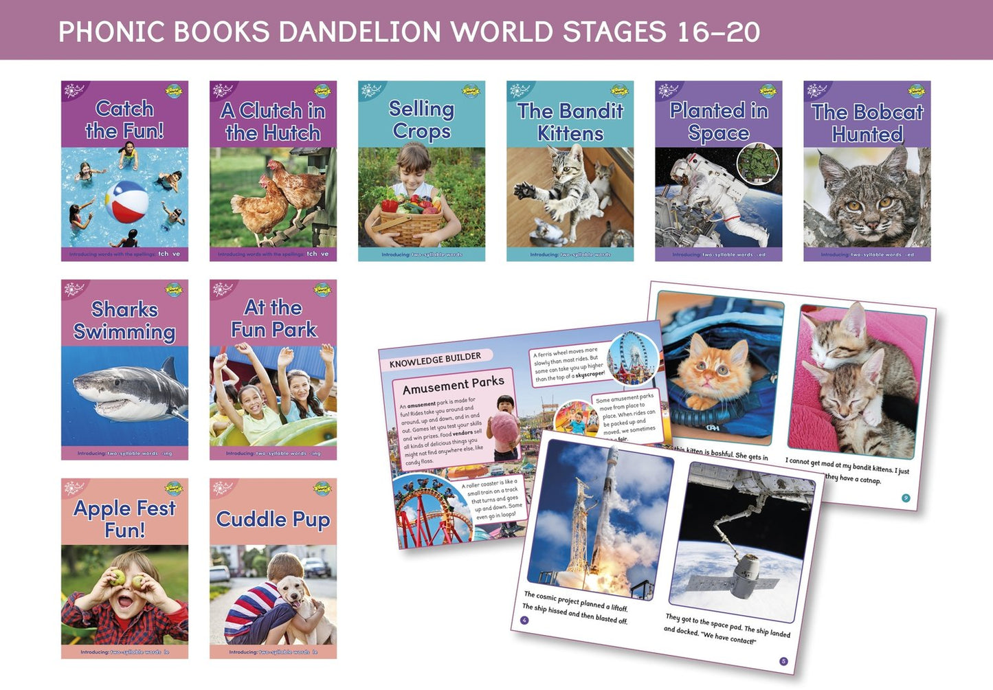 Dandelion World 16-20