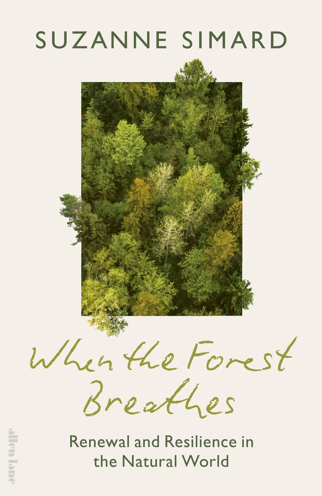 When the Forest Breathes book cover