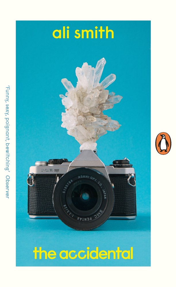 The Accidental book cover